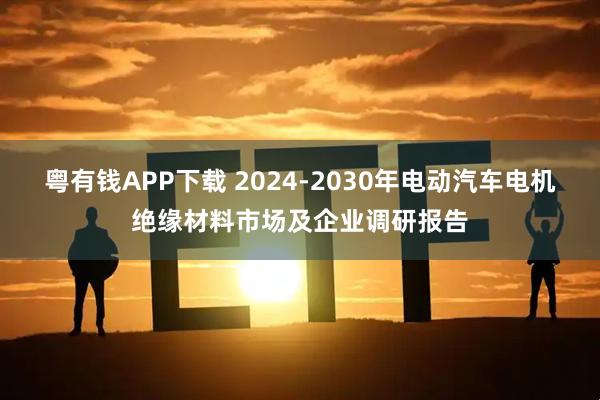 粤有钱APP下载 2024-2030年电动汽车电机绝缘材料市场及企业调研报告