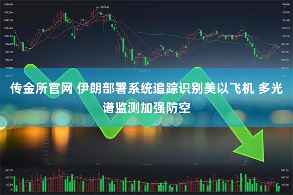 传金所官网 伊朗部署系统追踪识别美以飞机 多光谱监测加强防空