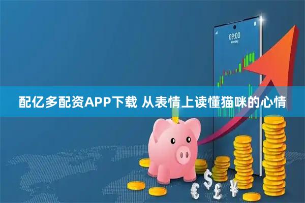 配亿多配资APP下载 从表情上读懂猫咪的心情
