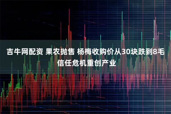 吉牛网配资 果农抛售 杨梅收购价从30块跌到8毛 信任危机重创产业